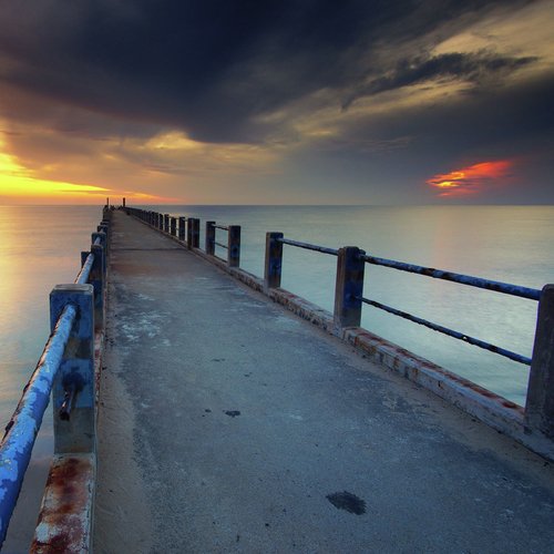 Better Sleep for Dogs