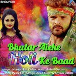 Bhatar Aiehe Holi Ke Baad