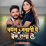 Chadhal Jawani Pe Break Laga Le