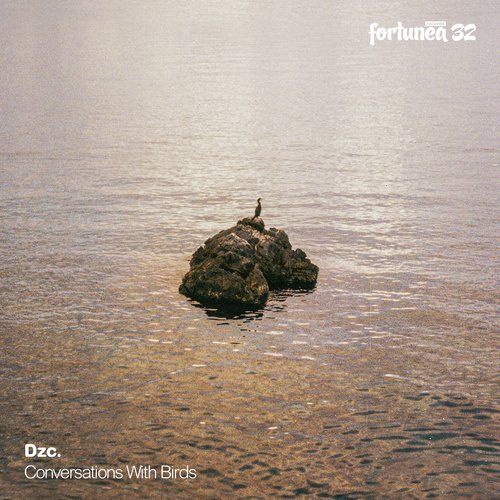 In Sight (Peletronic's Blurred Vision Remix) cover art