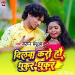 Dilwa Karo Hau Dhukur Dhukur