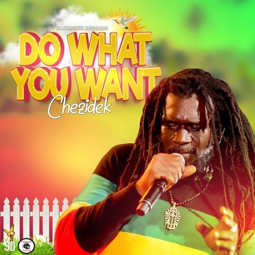 Do What You Want_poster_image