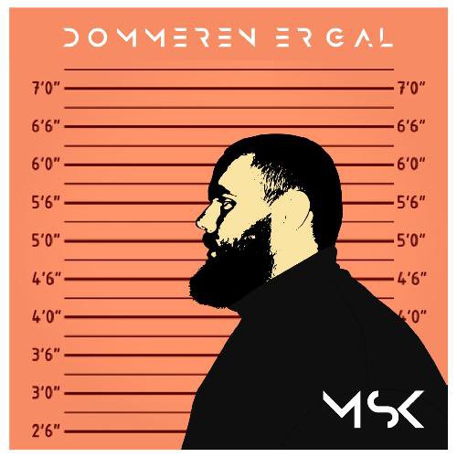 Dommeren Er Gal