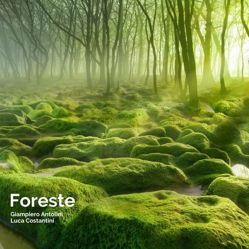 Foreste (feat. Paolo Innarella Flute Project) cover art