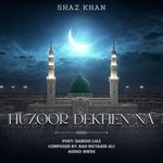 Huzoor Dekhen Na