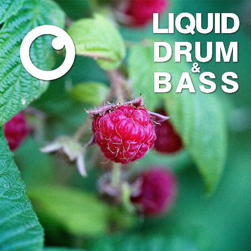 Liquid Drum & Bass Sessions 2020 Vol 13