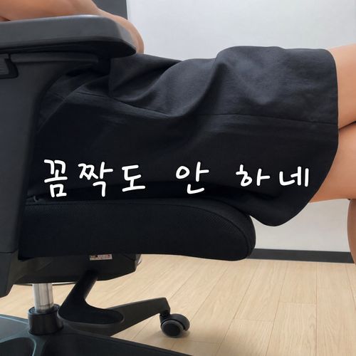 꼼짝도 안 하네