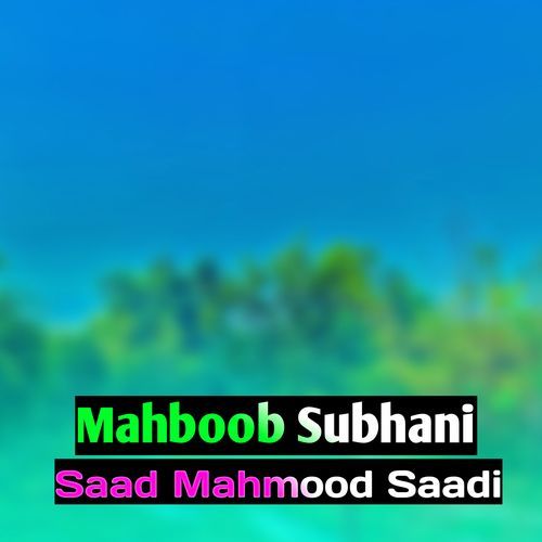 Mahboob Subhani