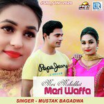 Meri Mohabbat Meri Waffa