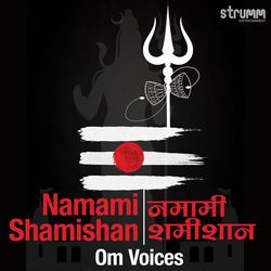 Namami Shamishan - Rudrashtakam