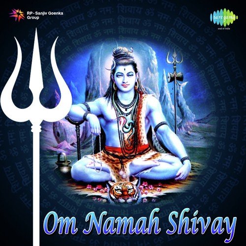 Om Namah Shivay - Dhun