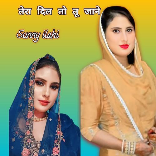 तेरा दिल तो तू जाने