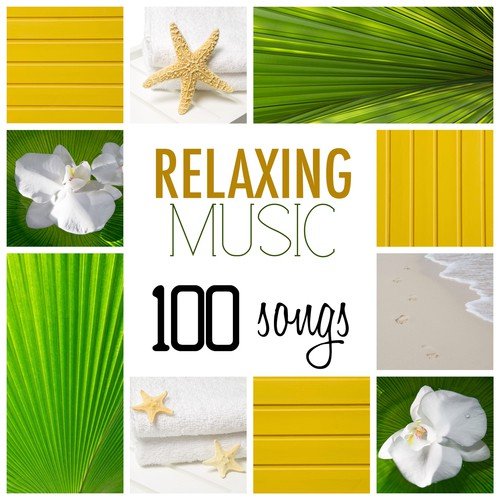 Naturescapes for Mindfulness cover art