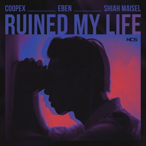 Ruined My Life_poster_image