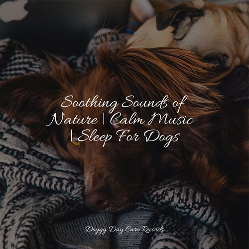 Soothing Sounds of Nature | Calm Music | Sleep For Dogs_poster_image