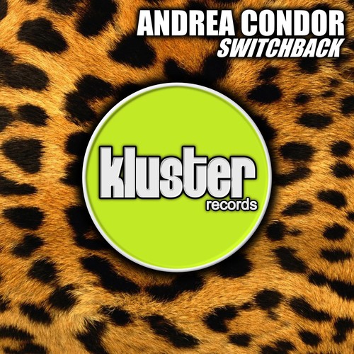 Switchback cover art