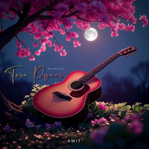 Tera Pyaar ( Acoustic)