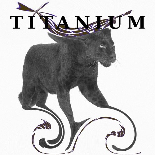 Titanium Band