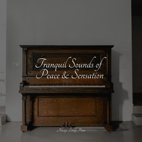 Tranquil Sounds of Peace & Sensation