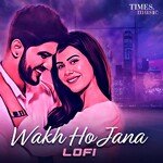 Wakh Ho Jana LoFi