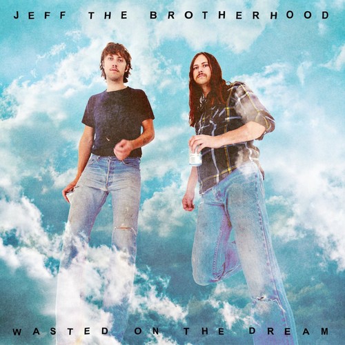 In My Dreams Lyrics Jeff The Brotherhood Only On Jiosaavn