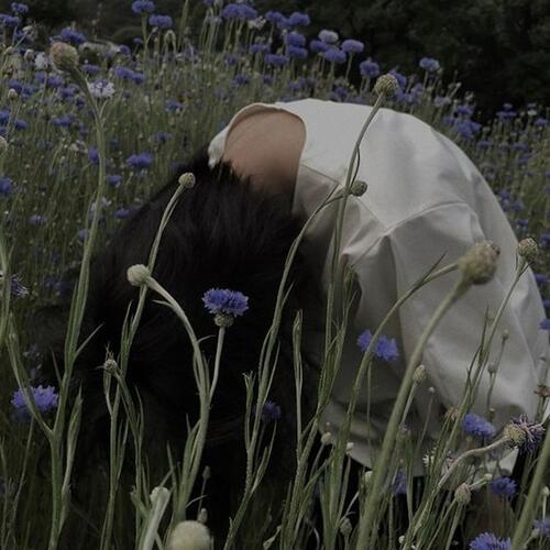 the words i wish you could hear