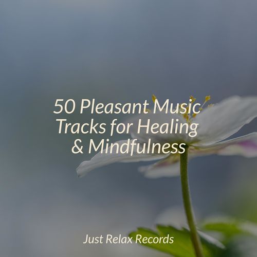 50 Pleasant Music Tracks for Healing & Mindfulness