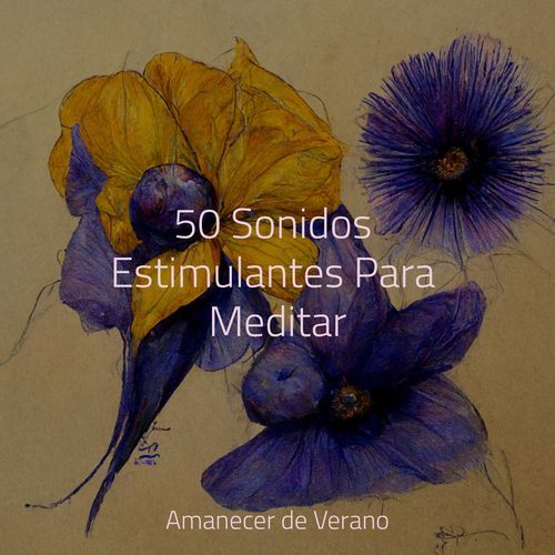 50 Sonidos Estimulantes Para Meditar