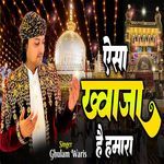 Aisa Khwaja Hai Hamara