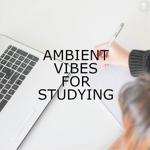 Ambient Vibes for Studying