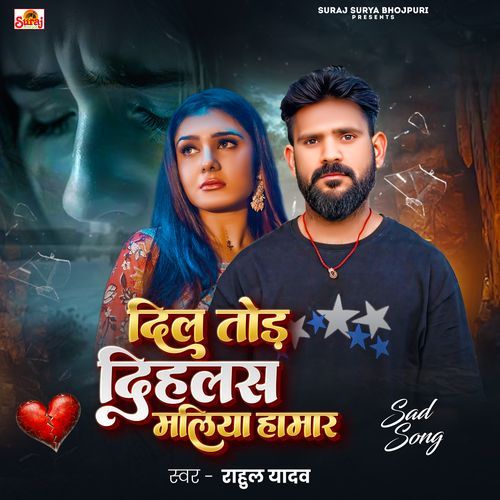 Dil Tod Dihalas Maliya Hamar