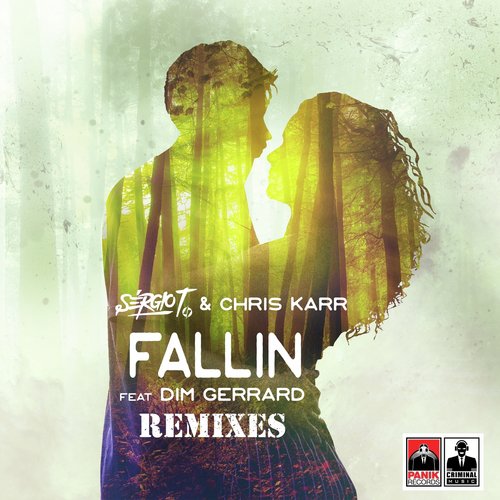 Fallin (Remixes)_poster_image