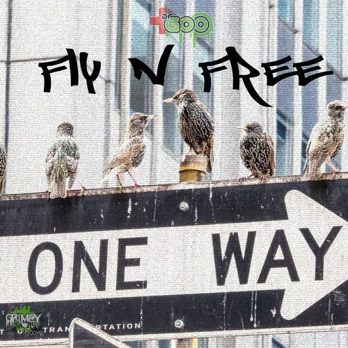 Fly N Free