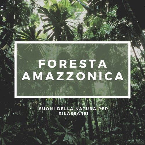 Madre natura & armonia cover art