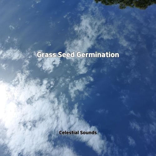 Someone Wrote This Song Before cover art