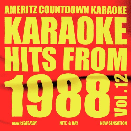 Karaoke Hits from 1988, Vol. 12