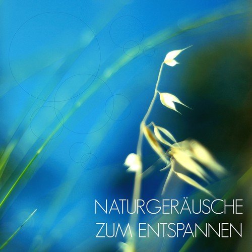 Entspannungsmusik Meer cover art