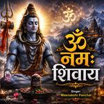 Om Namah Shivay
