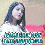 Pagal Dil Mor Tate Khujuchhe