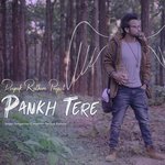 Pankh Tere