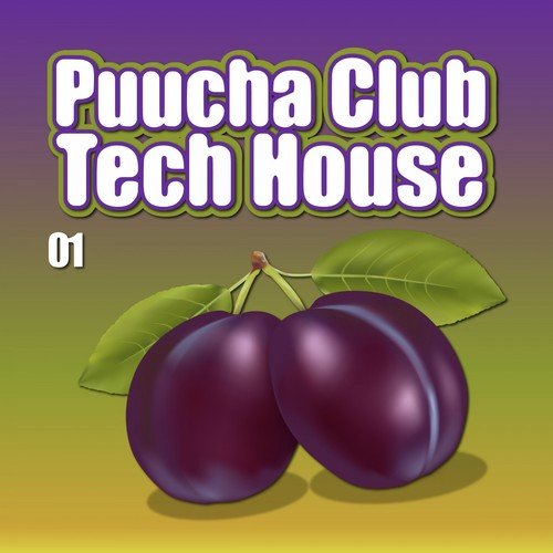 Puucha Club Tech House, Vol. 1