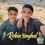 Robin Singhal artwork