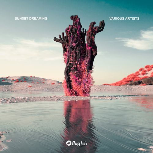 Sunset Dreaming