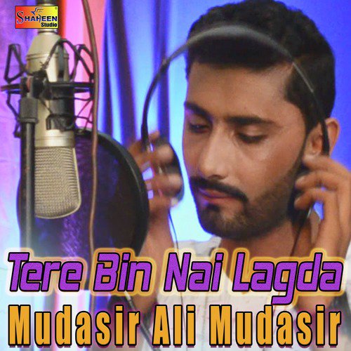 Tere Bin Nai Lagda - Single