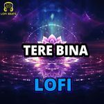 Tere Bina LoFi