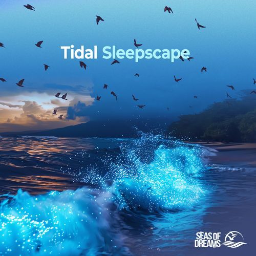 Tidal Sleepscape_poster_image