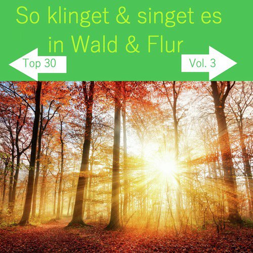 Top 30: So klinget & singet es in Wald & Flur, Vol. 3