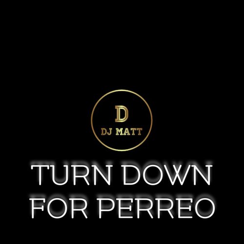 Turn Down For Perreo_poster_image