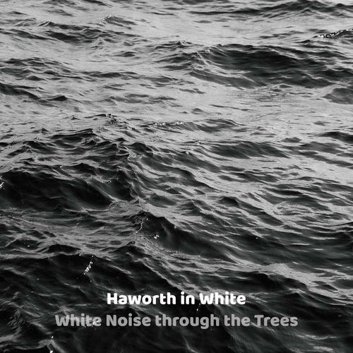 White Noise Universe cover art