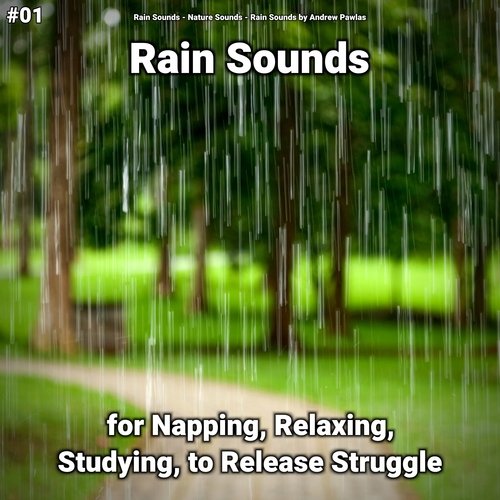 Rain Sounds to Fall Asleep cover art